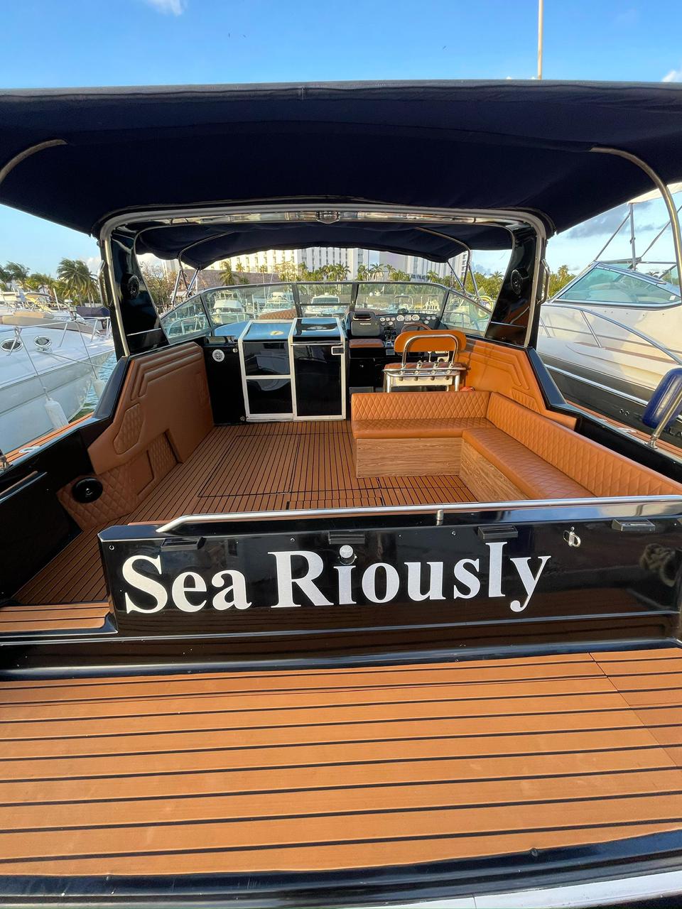 Sea Ray 45 ft Negro