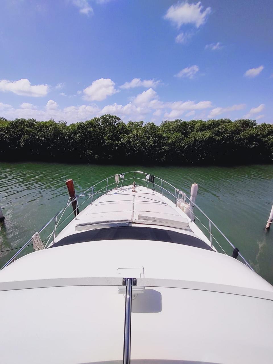 Sea Ray 47 ft Blanco